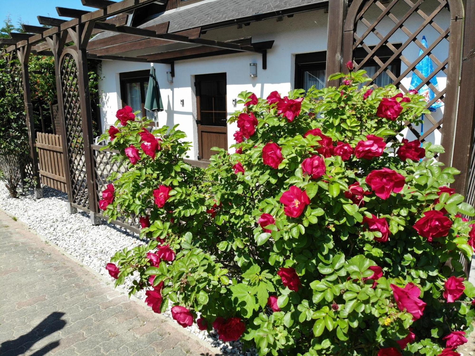 Ferienhaus Kreß rechts Sellin  Exterior foto
